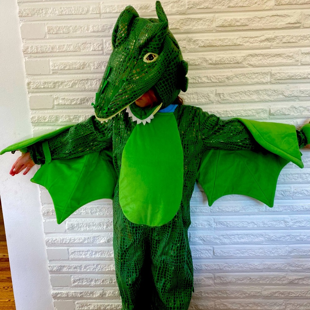 Pottery Barn Dragon Costume
